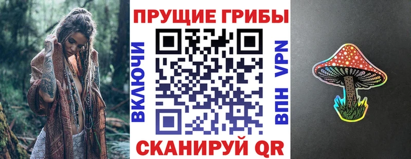 Псилоцибиновые грибы Psilocybe  Елабуга 